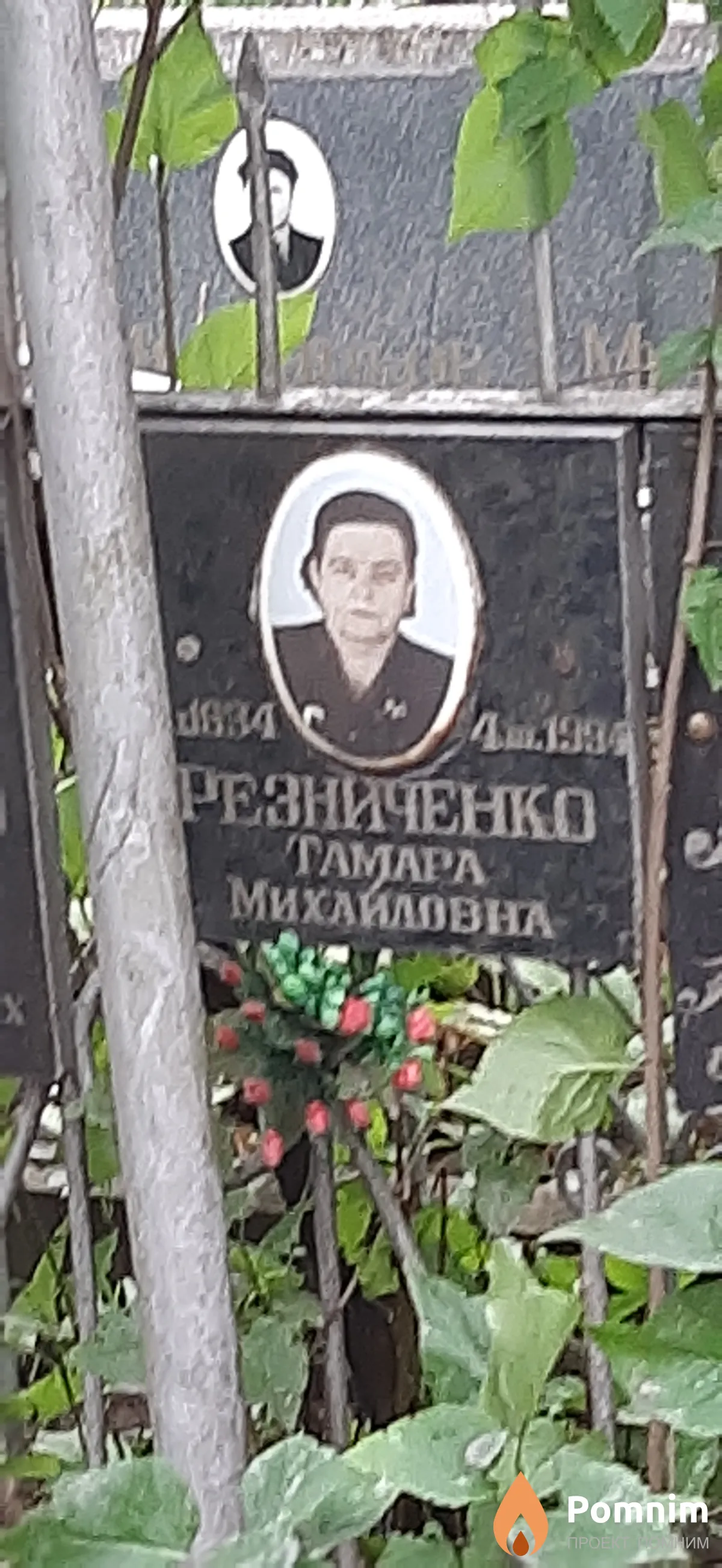 Резниченко Тамара Михайловна