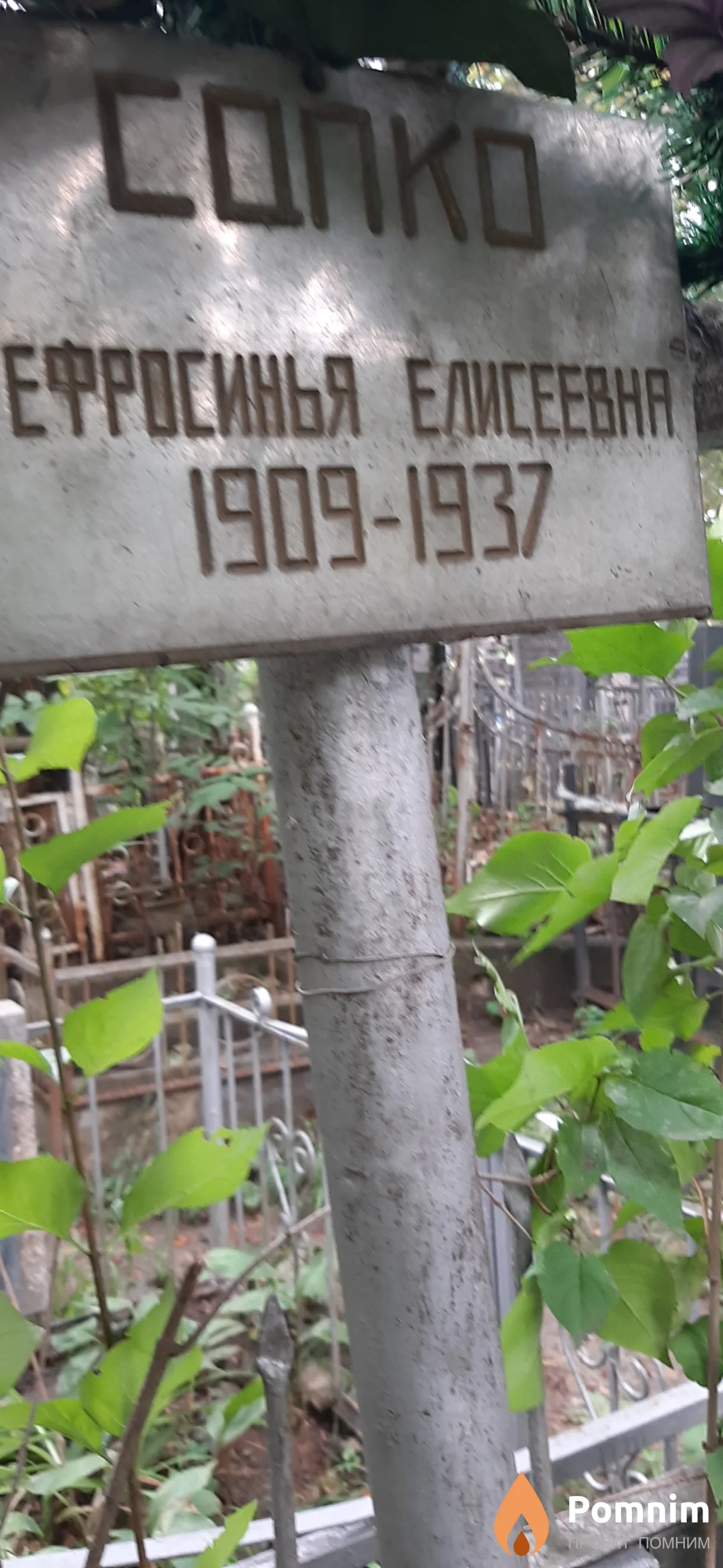 Сапко Ефросинья Елисеевна