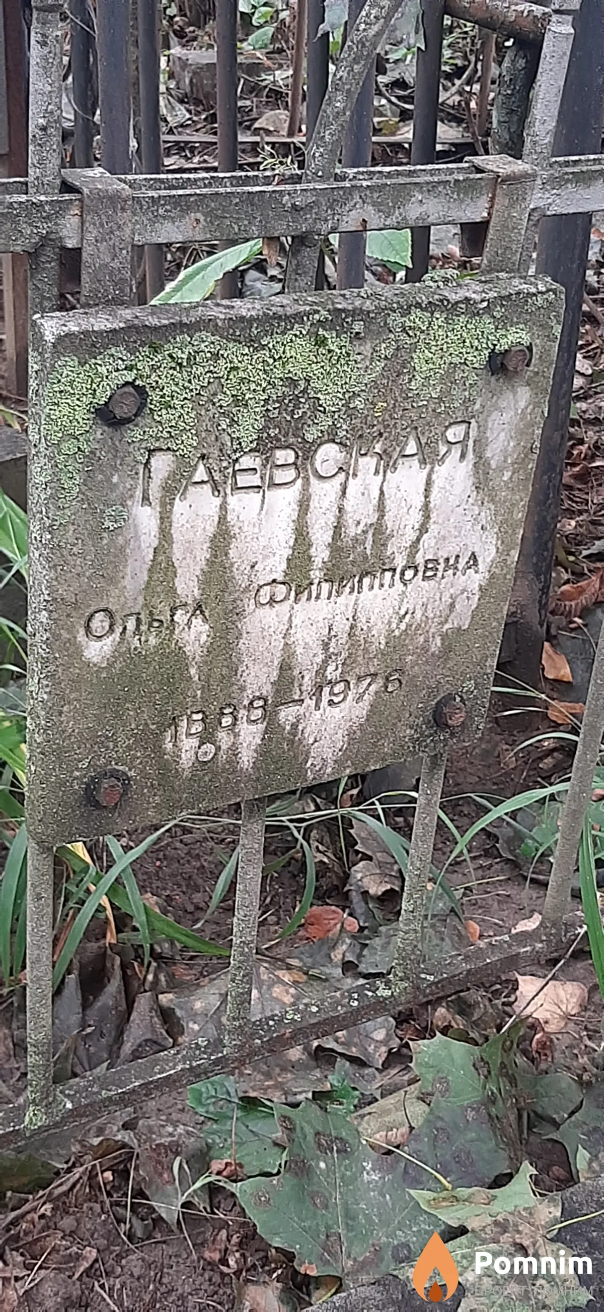 Гаевская Ольга Филипповна