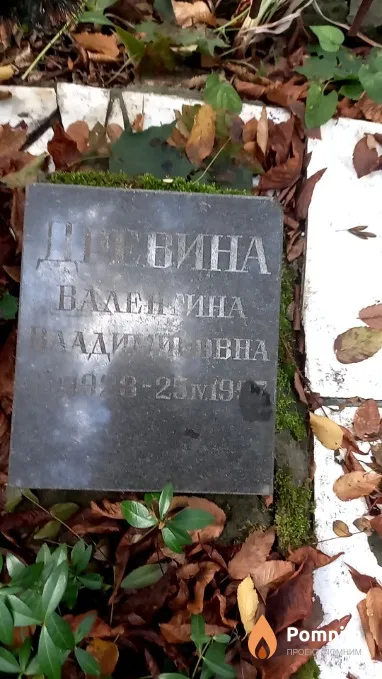Древина Валентина Владимировна