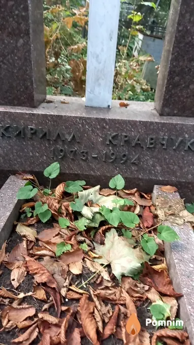 Kpавчук Кирилл
