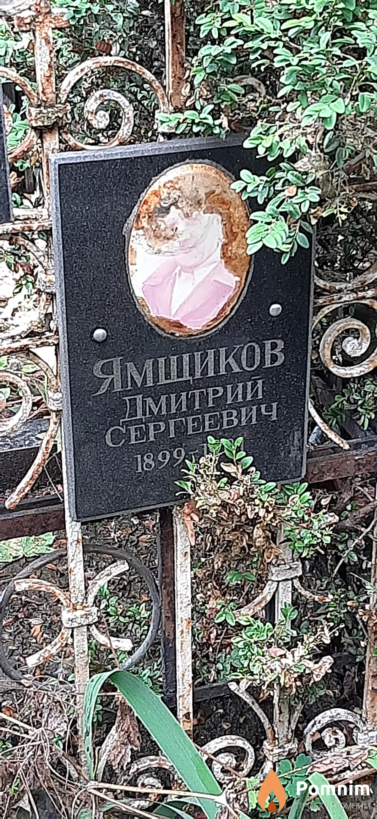 Ямщиков Дмитрий Сергеевич