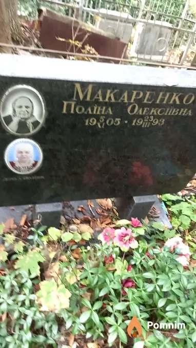 Тест Тест