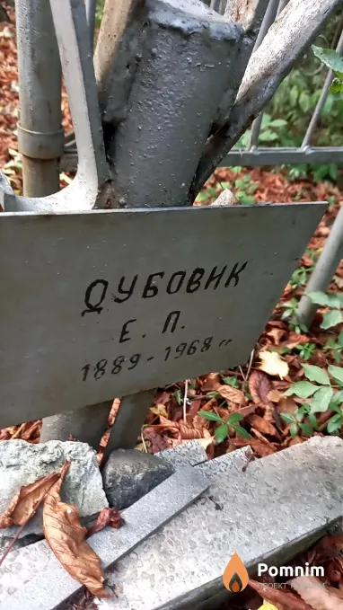 Дубовик Е. П.