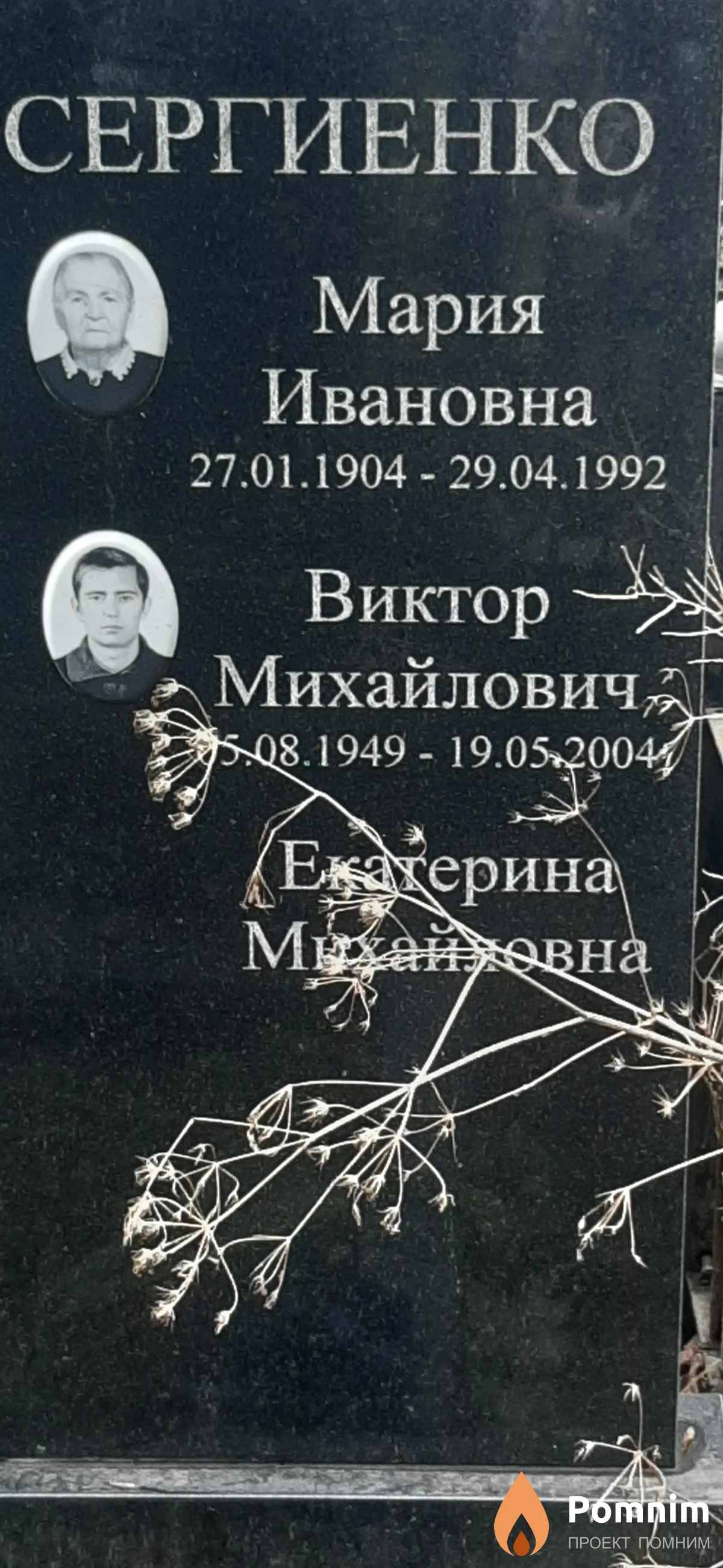 Сергиенко Виктор Михайлович