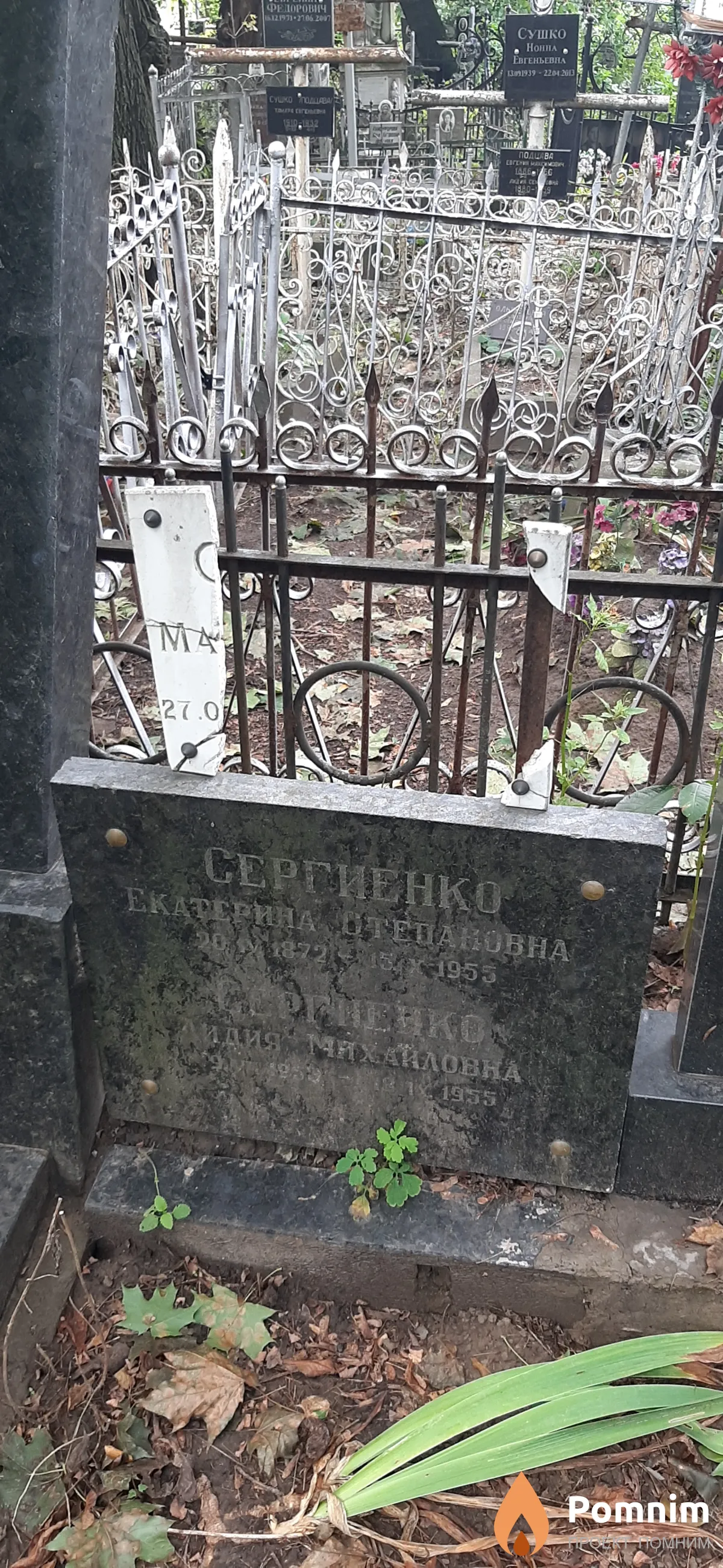 Сергиенко Екатерина Степановна