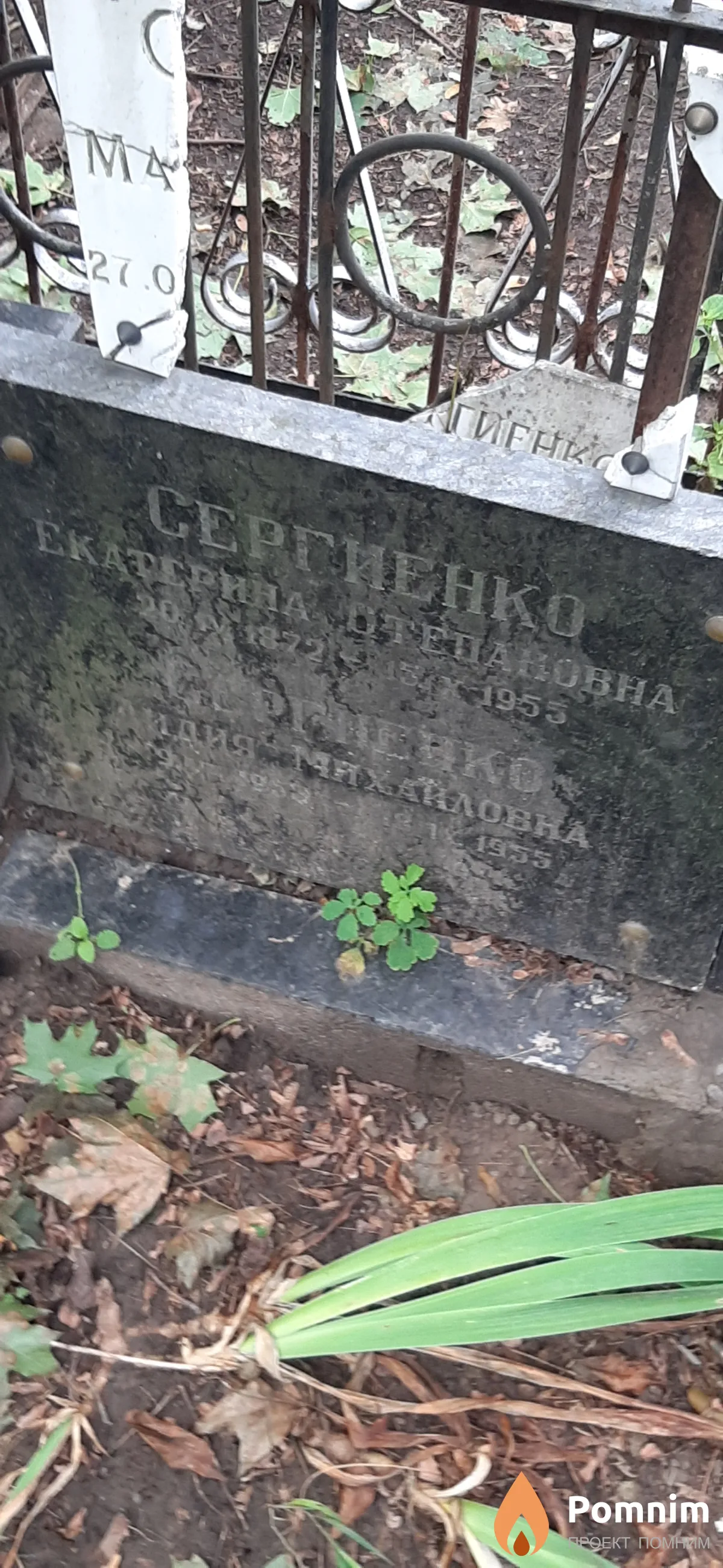 Сергиенко Лидия Михайловна