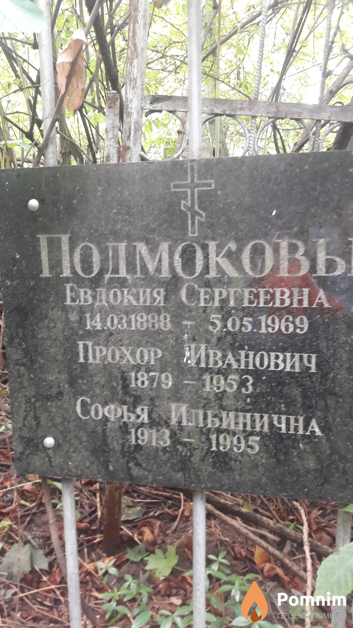 Подмокова Евдокия Сергеевна