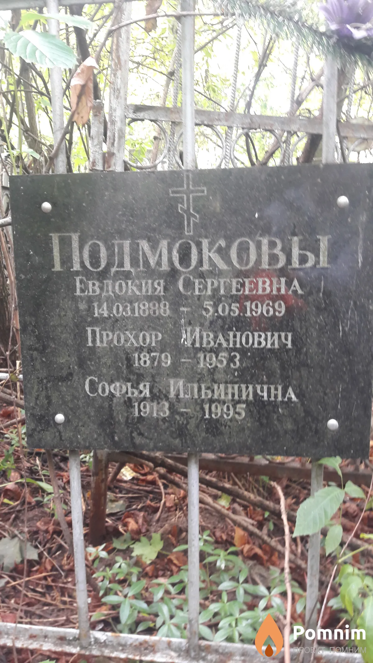 Подмокова Софья Ильинична