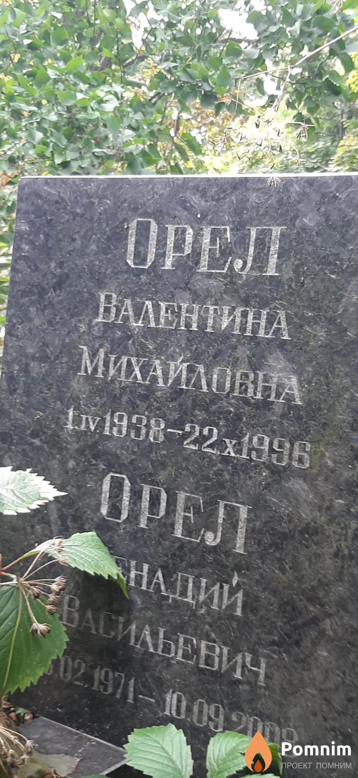 Орел Валентина Михайловна