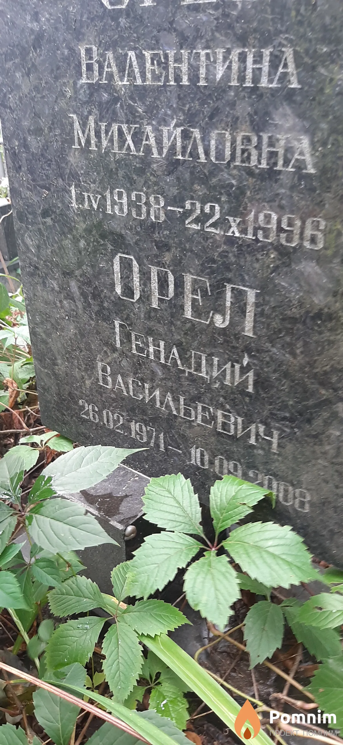 Орел Генадий Васильевич