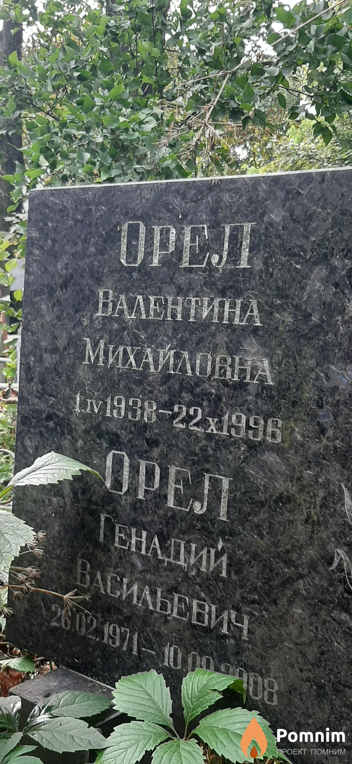 Орел Валентина Михайловна