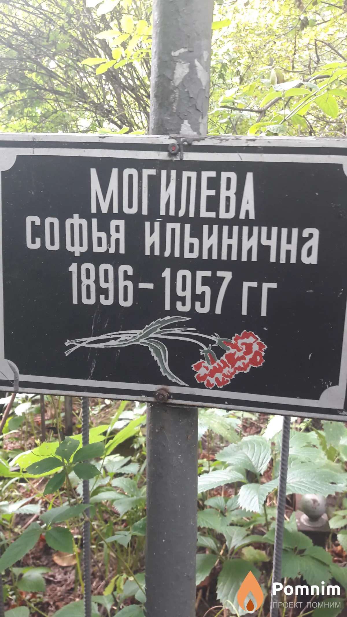 Могилева Софья Ильинична