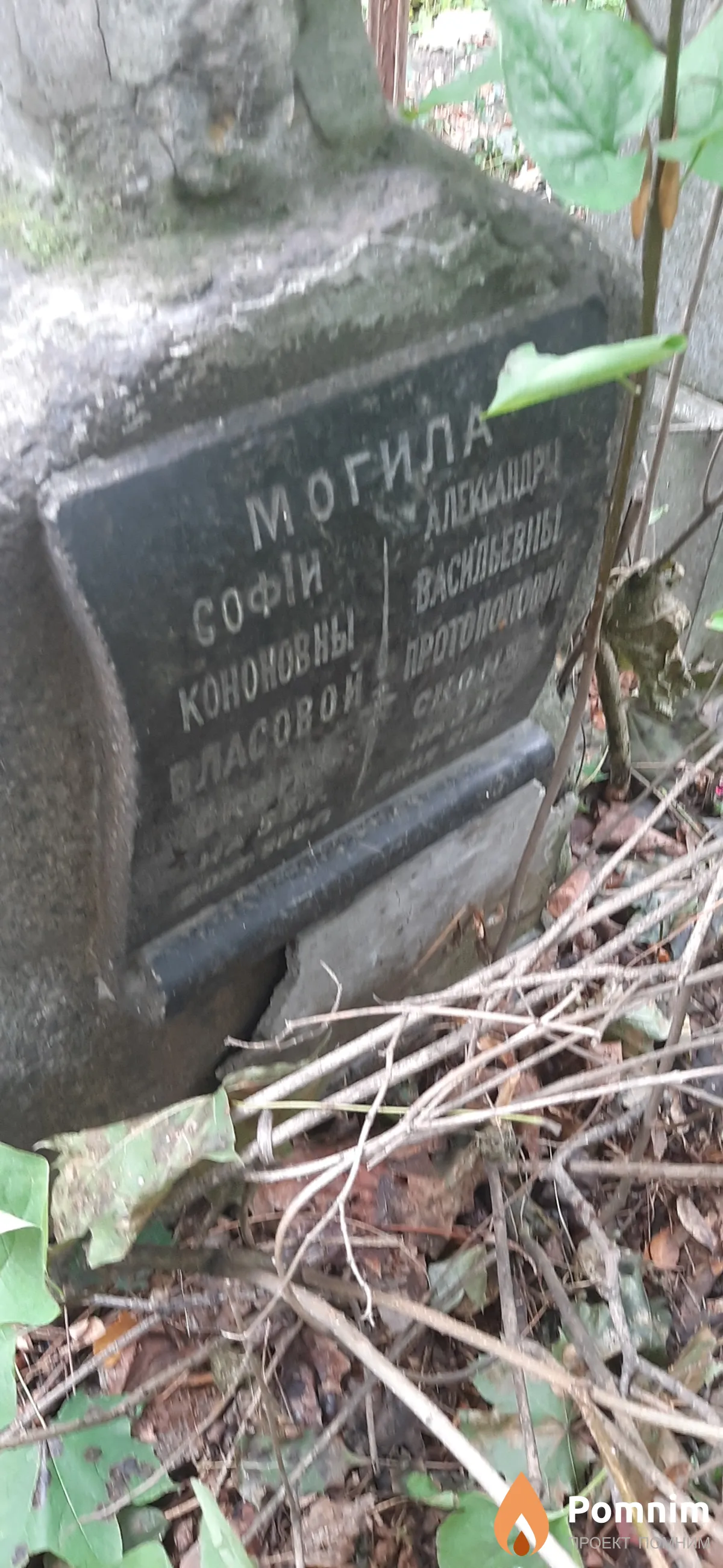 Могила София Кономовна