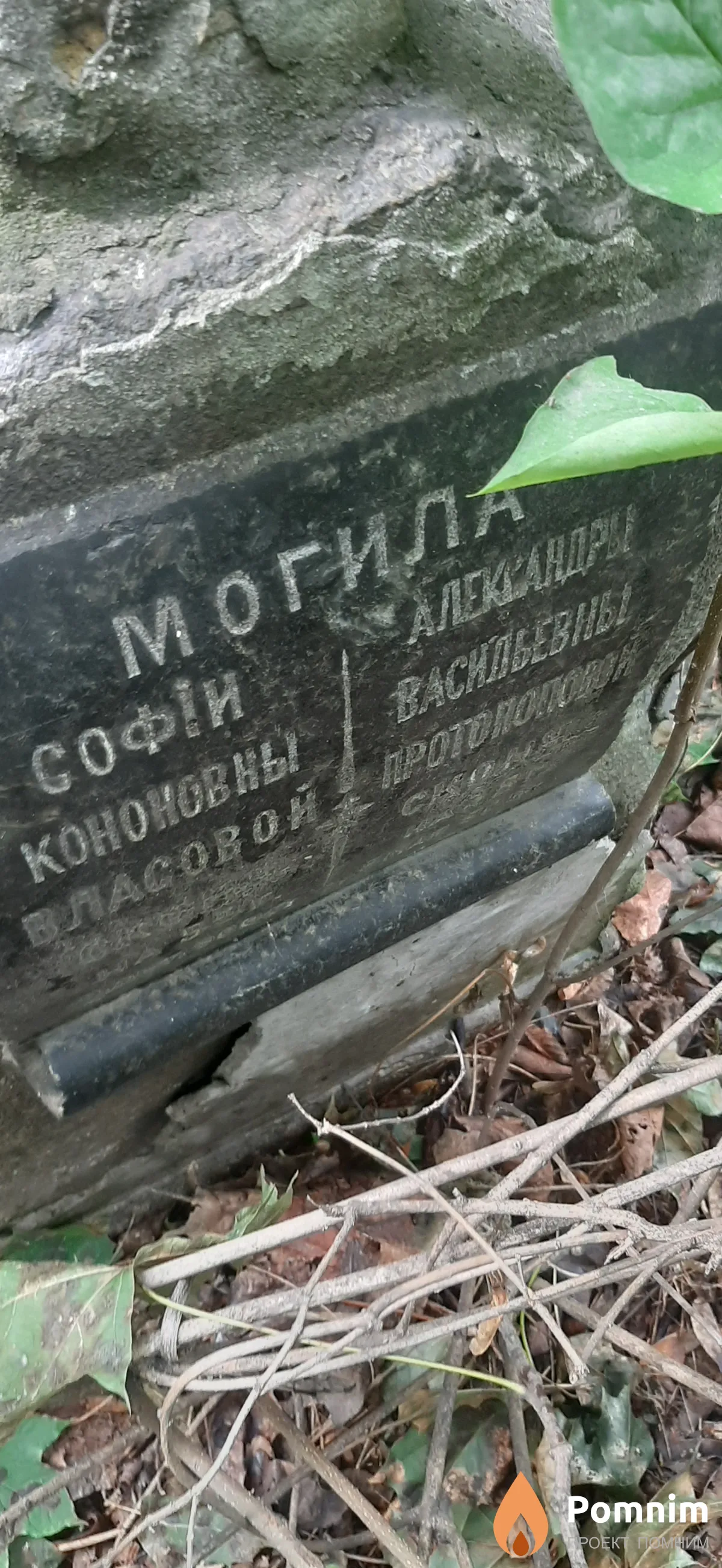 Протопопова Александра Васильевна