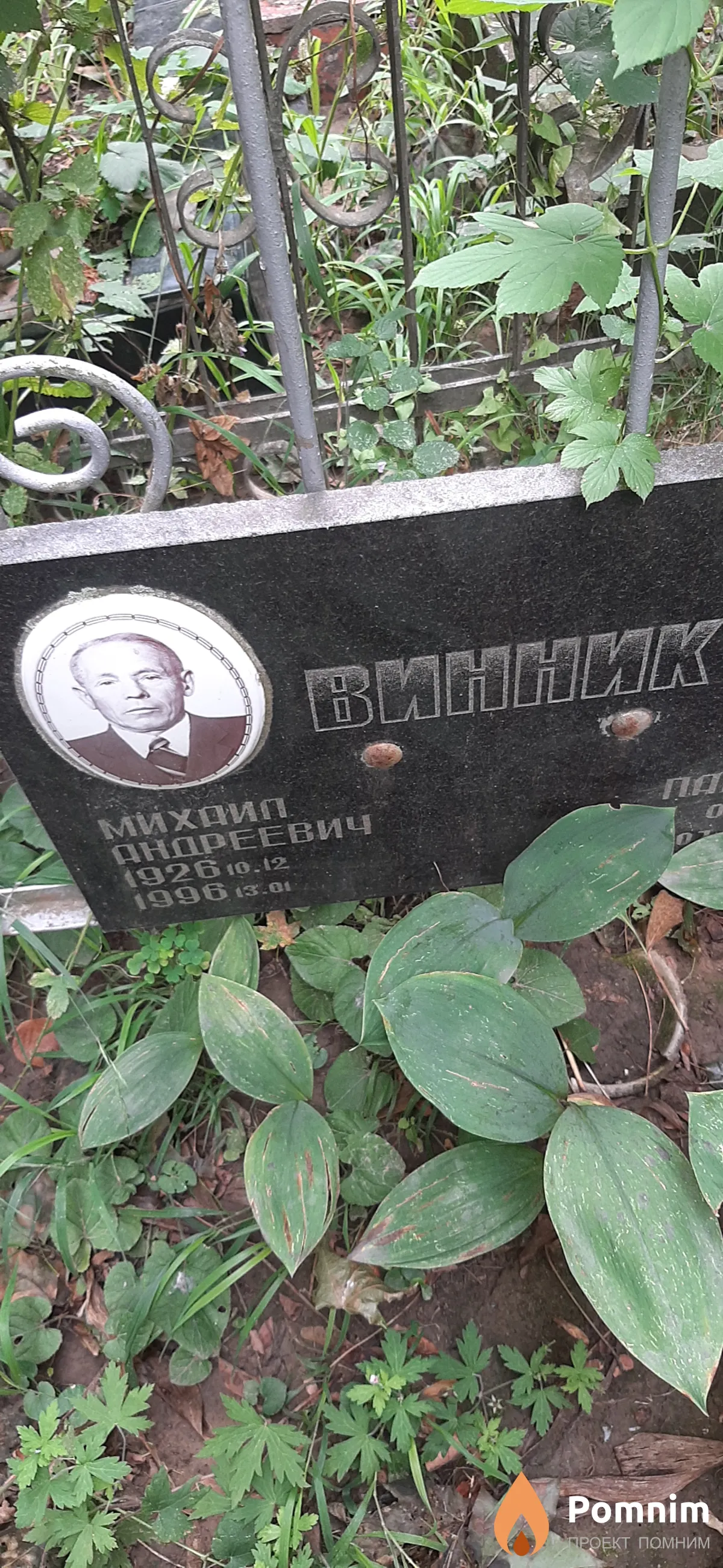 Винник Михаил Андреевич