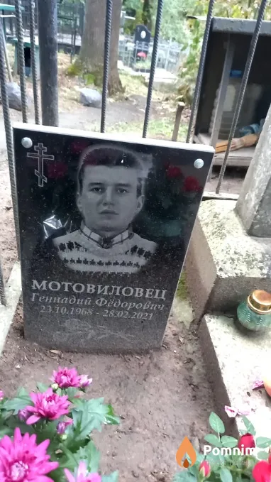 Мотовиловец Геннадий Федорович