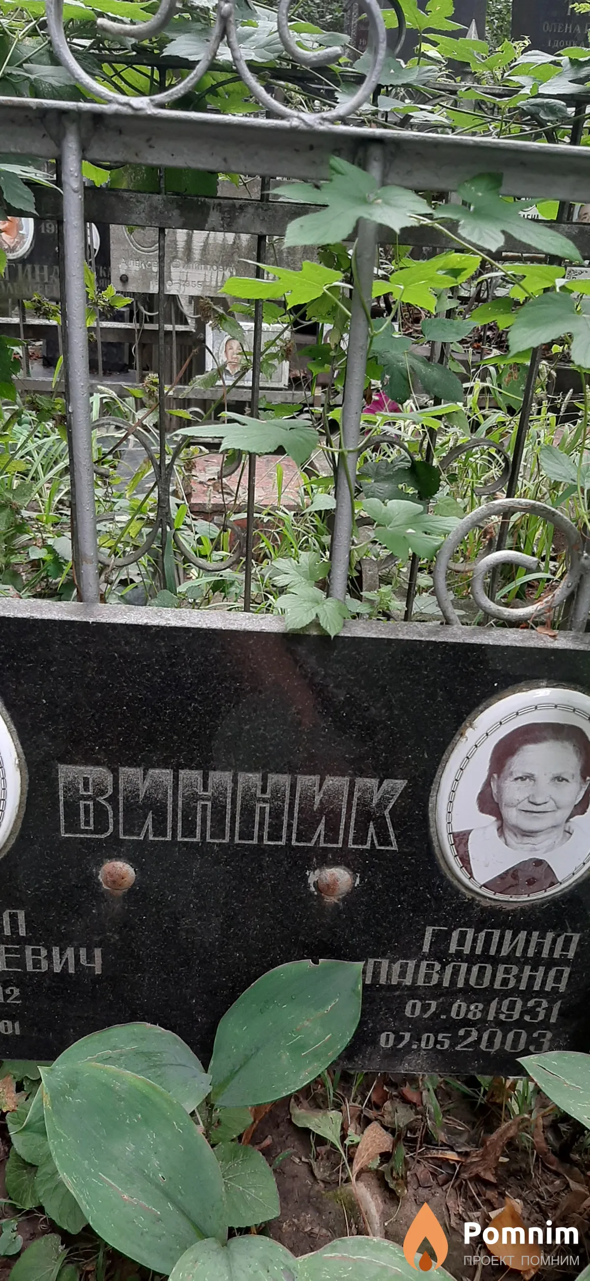 Винник Галина Павловна