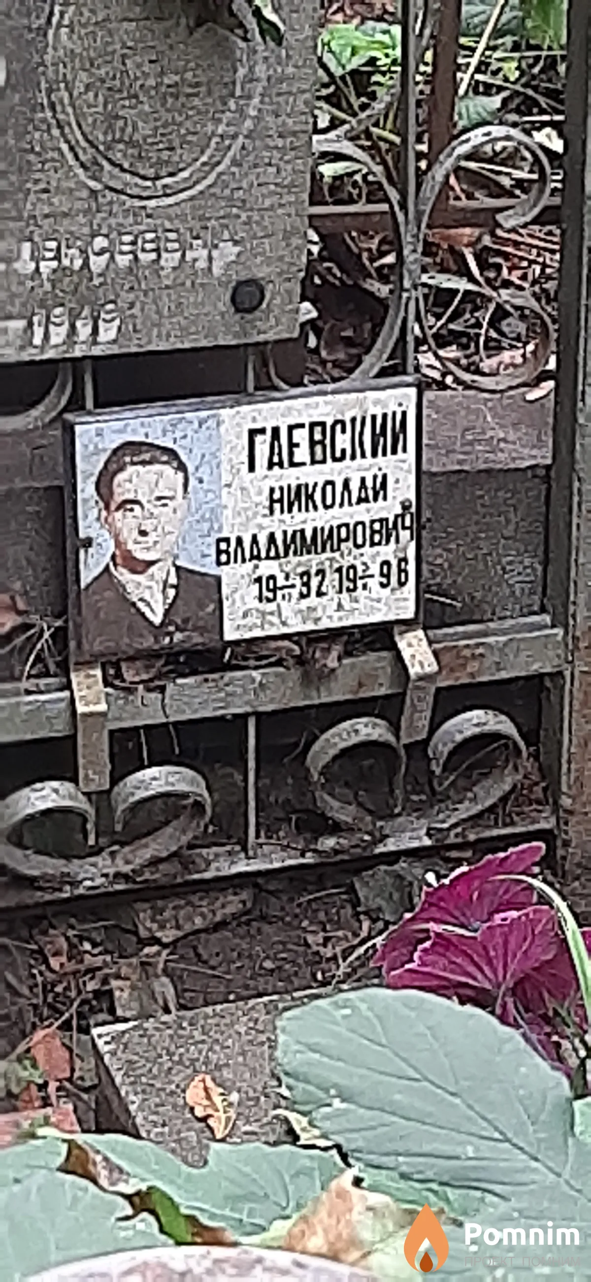 Гаевский Николай Владимирович