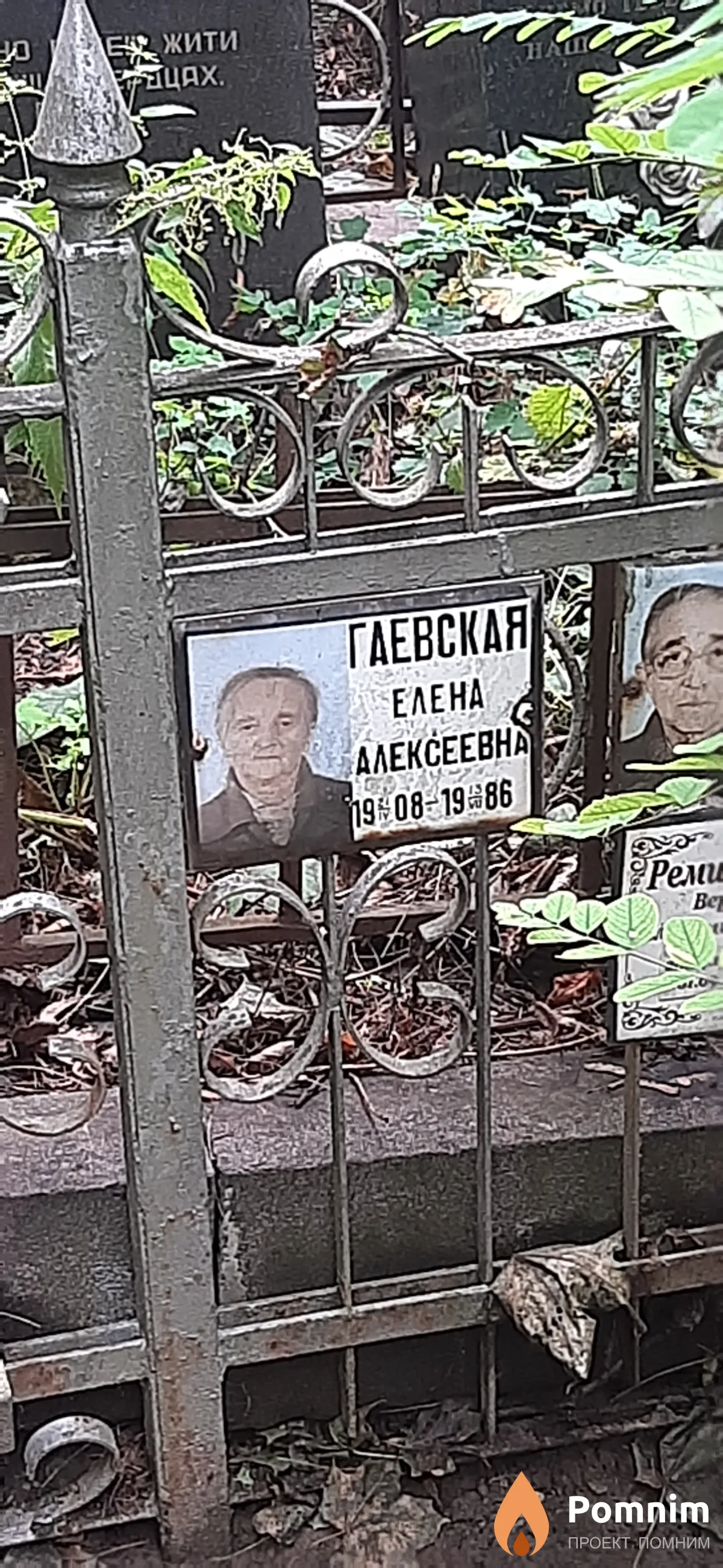 Гаевская Елена Алексеевна