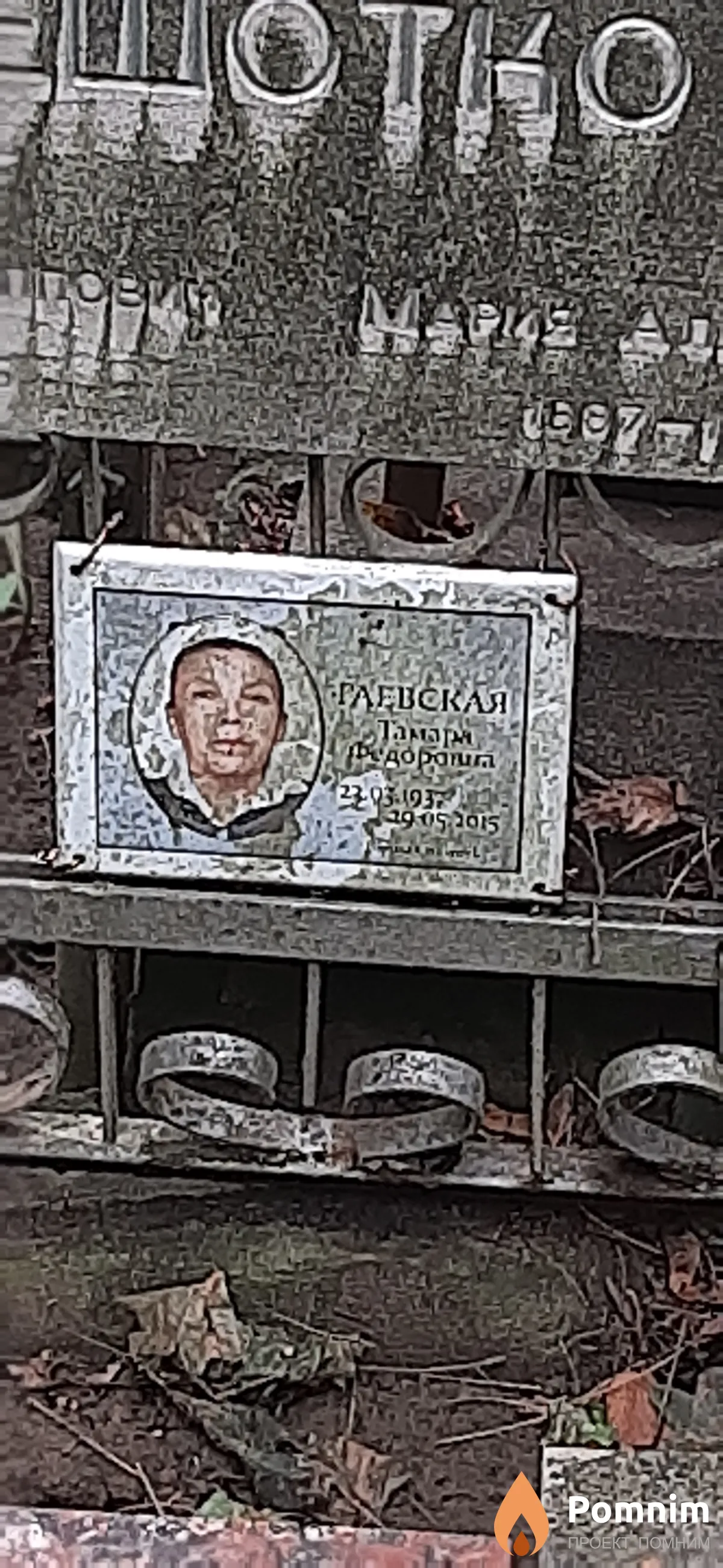Гаевская Тамара Федоровна