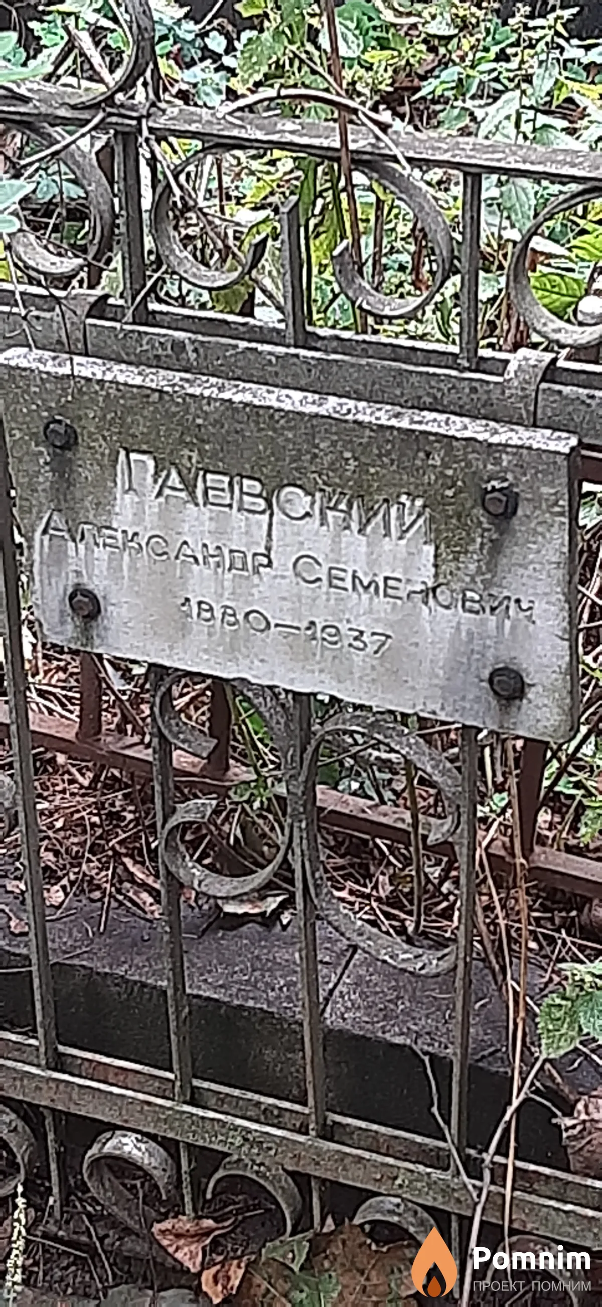 Гаевский Александр Семенович