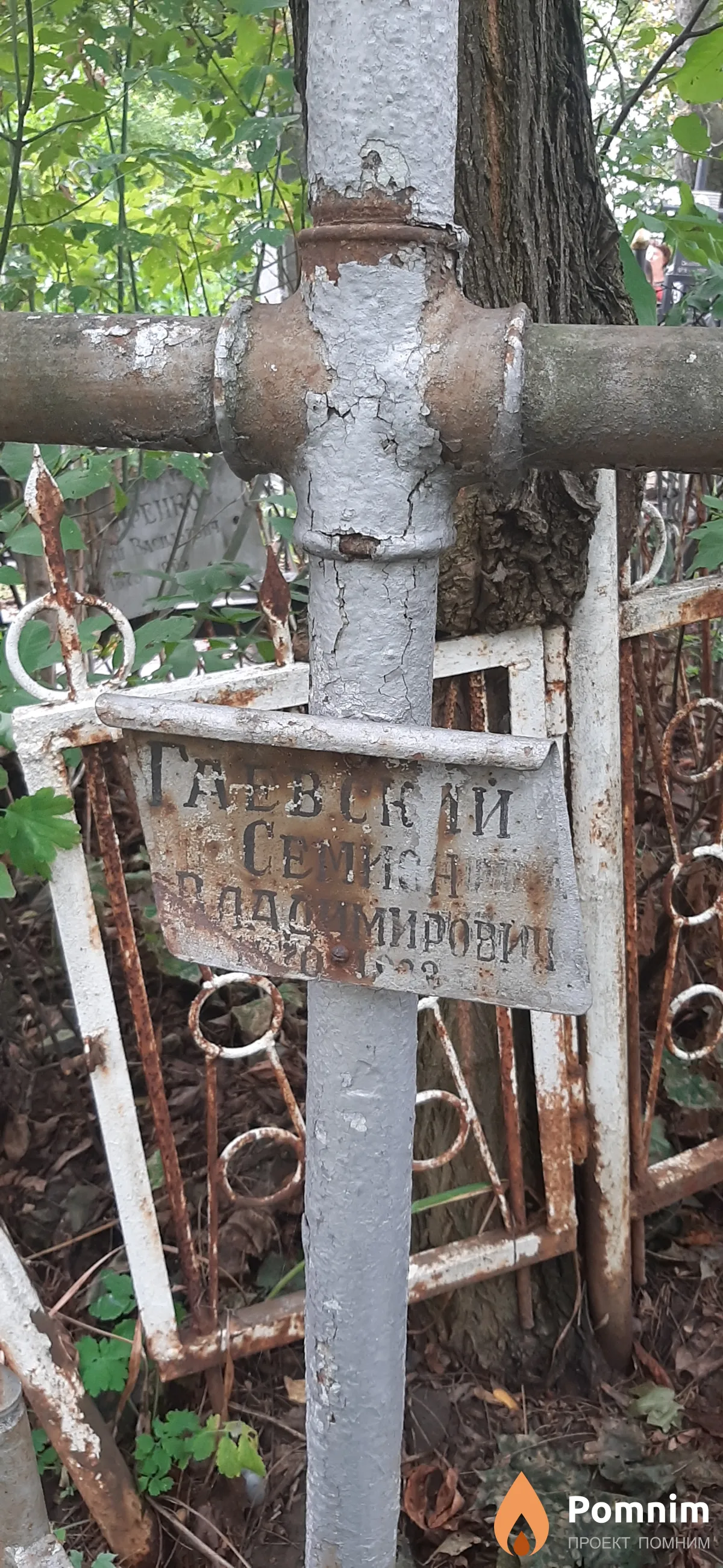 Гаевский Семен Владимирович