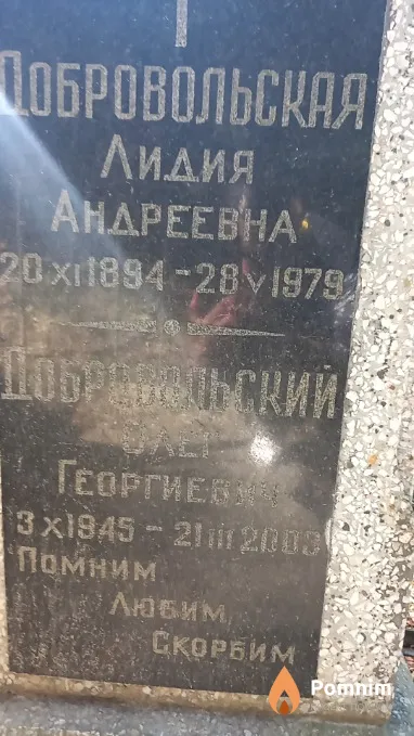 Добровольский Олег Георгиевич
