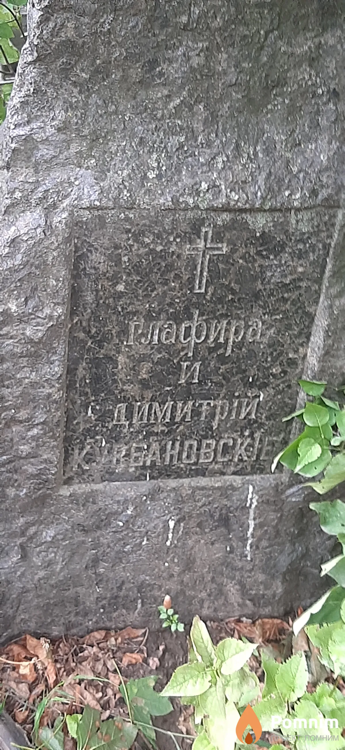 Кувбановский Дмитрий