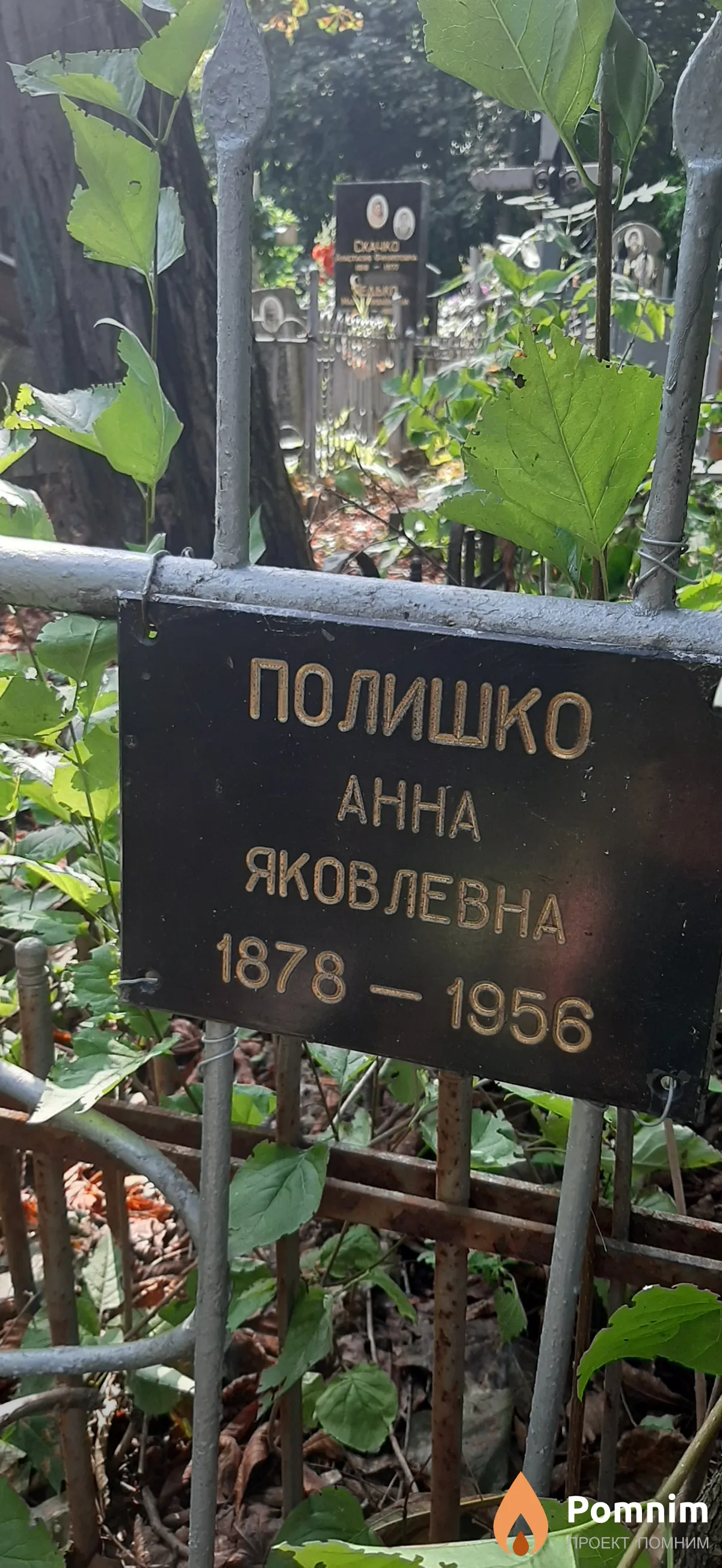 Полишко Анна Яковлевна