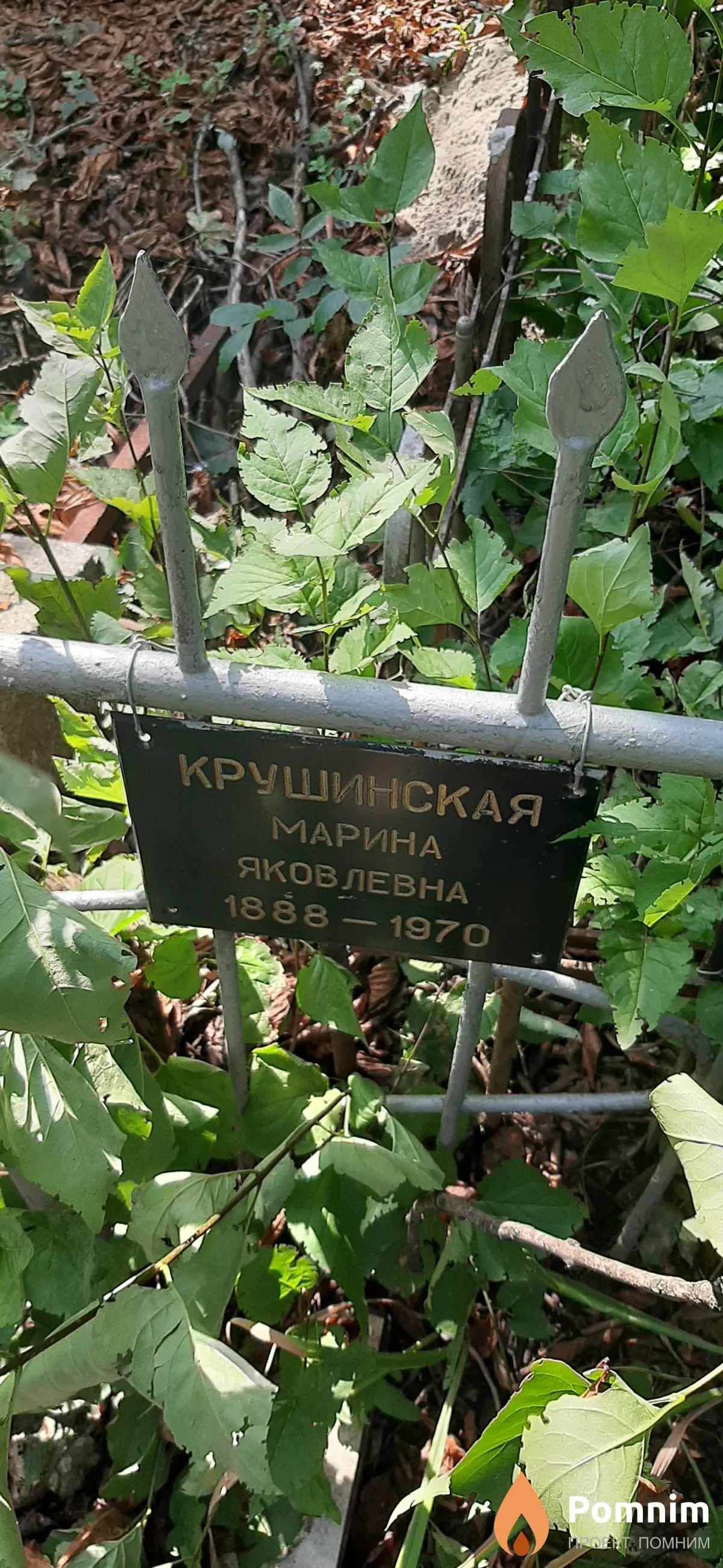 Крушинская Марина Яковлевна