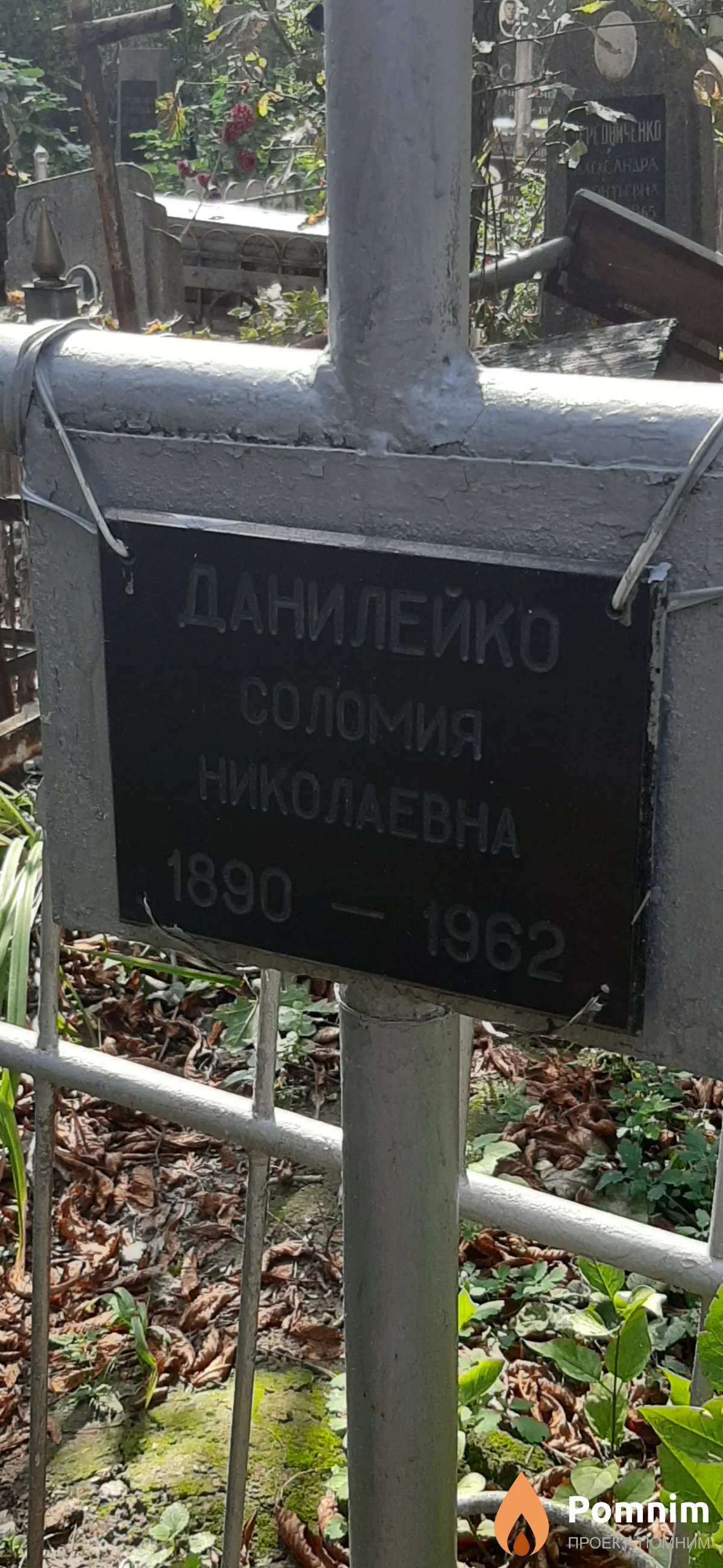 Данилейко Соломия Николаевна