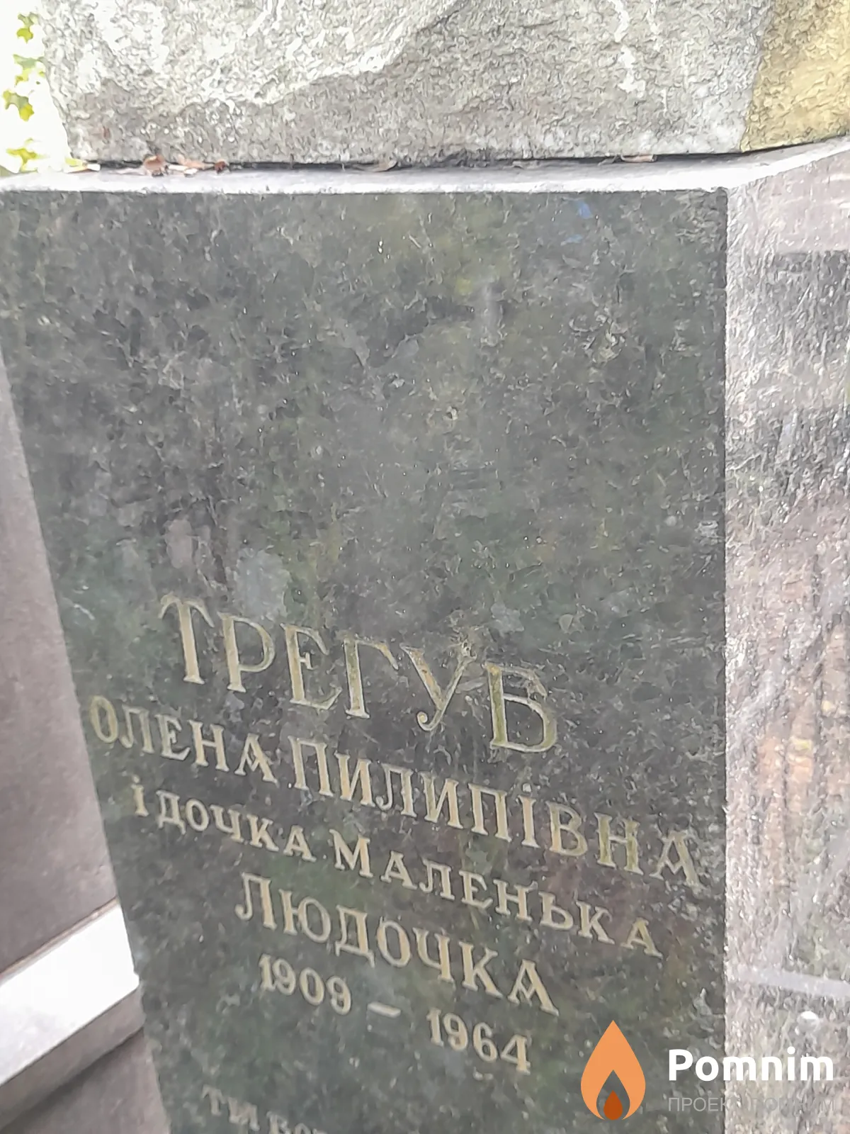 Трегуб Олена Пилиповна