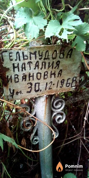 Гельмудова Наталия Ивановна