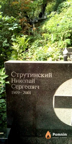 Струтинский Николай Сергеевич