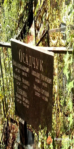 Губкина Любовь Юрьевна