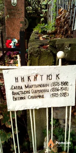 Никитюк Анастасия Гавриловна