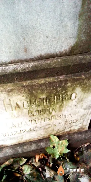 Насиленко Елена Анатольевна