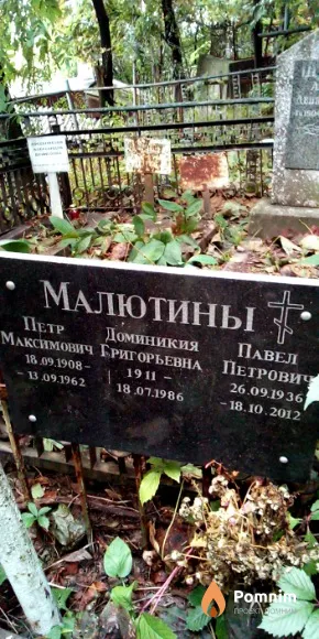 Малютина Доминикия Григорьевна