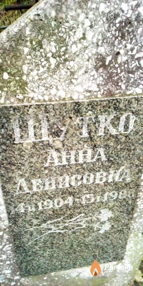 Шутко Анна Денисовна