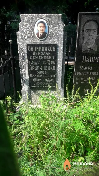 Лавриненко Яков Илларионович