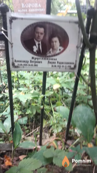 Кругляков Александр Петрович
