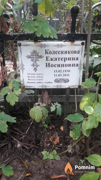 Колесникова Екатерина Иосиповна