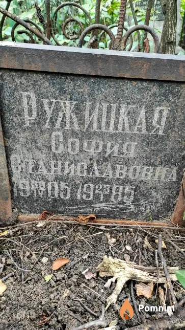 Ружицкая София Станиславовна