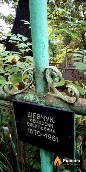 Шевчук Феодосия Васильевна