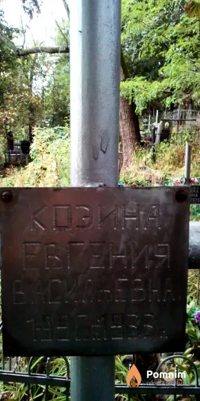 Козина Евгения Васильевна