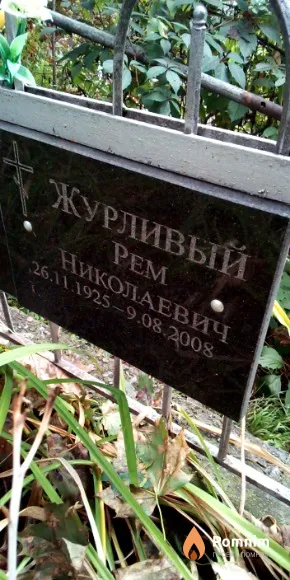 Журливый Рем Николаевич
