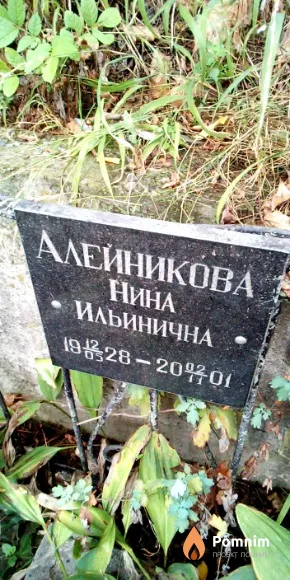 Алейникова Нина Ильинична