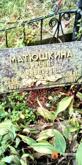 Матюшкина Ирина Павловна