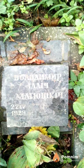 Матюшкин Владимир Ильич
